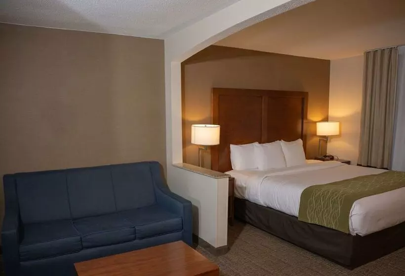 هتل Comfort Inn & Suites