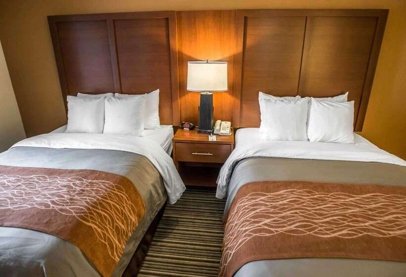 Otel Comfort Inn At The Park