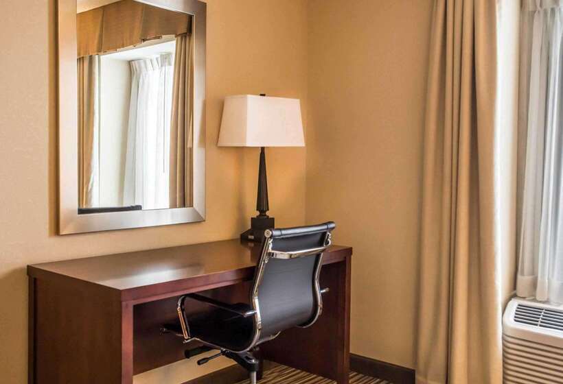 Otel Comfort Inn At The Park