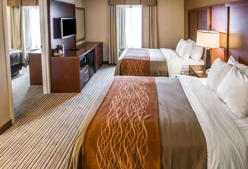 Otel Comfort Inn At The Park