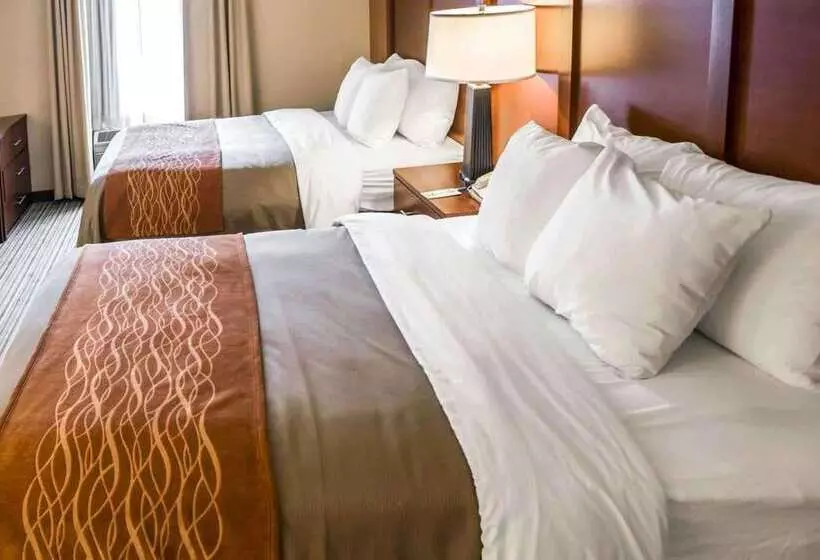 ホテル Comfort Inn At The Park