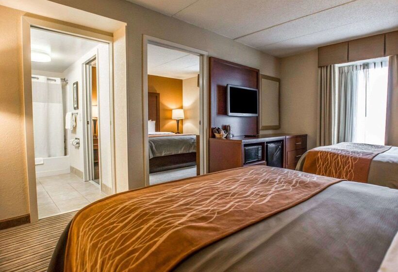 Otel Comfort Inn At The Park