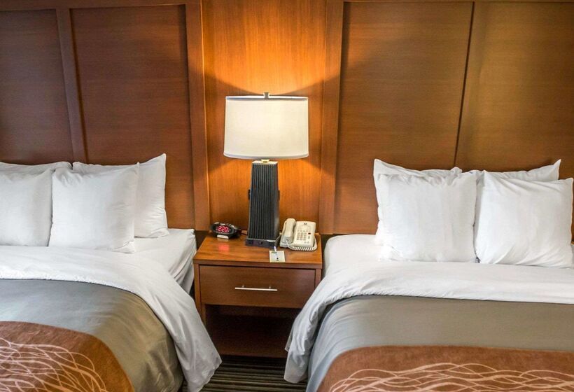 Otel Comfort Inn At The Park