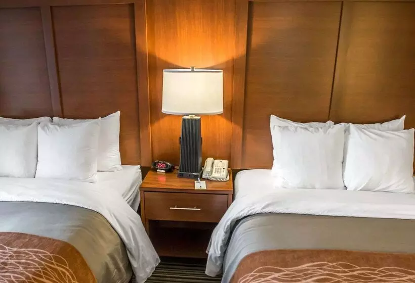 ホテル Comfort Inn At The Park