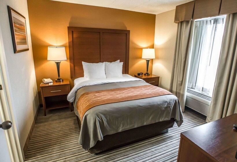 Otel Comfort Inn At The Park