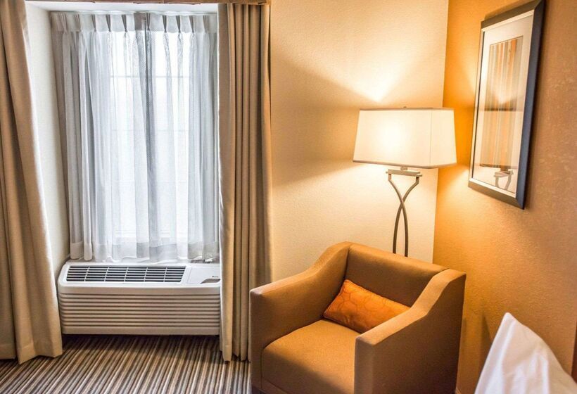 Otel Comfort Inn At The Park