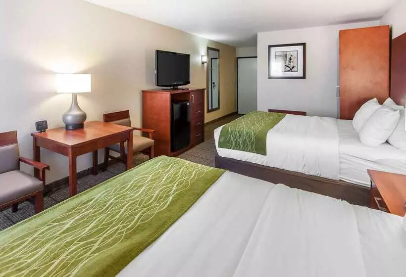 ホテル Comfort Inn & Suites Near Fallon Naval Air Station