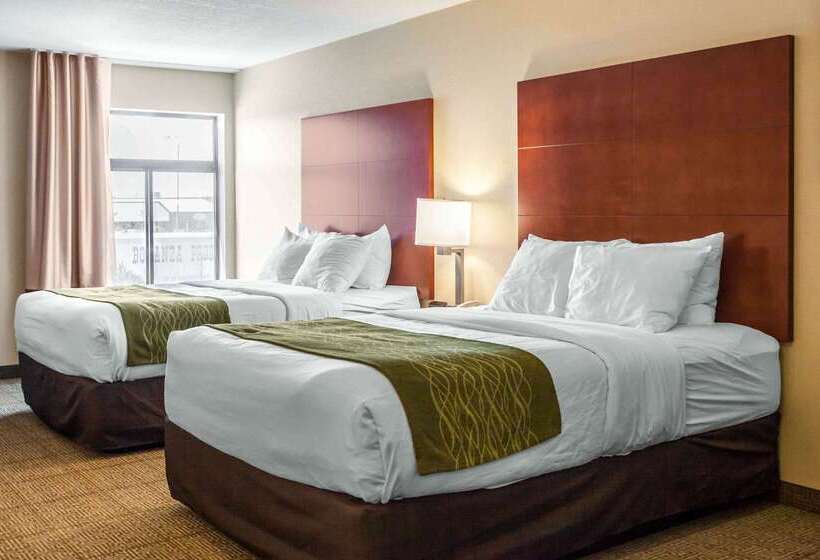 فندق Comfort Inn & Suites Near Fallon Naval Air Station