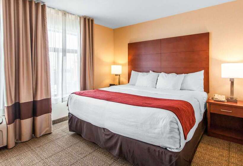 فندق Comfort Inn & Suites Near Fallon Naval Air Station