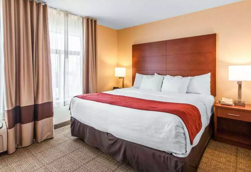 ホテル Comfort Inn & Suites Near Fallon Naval Air Station