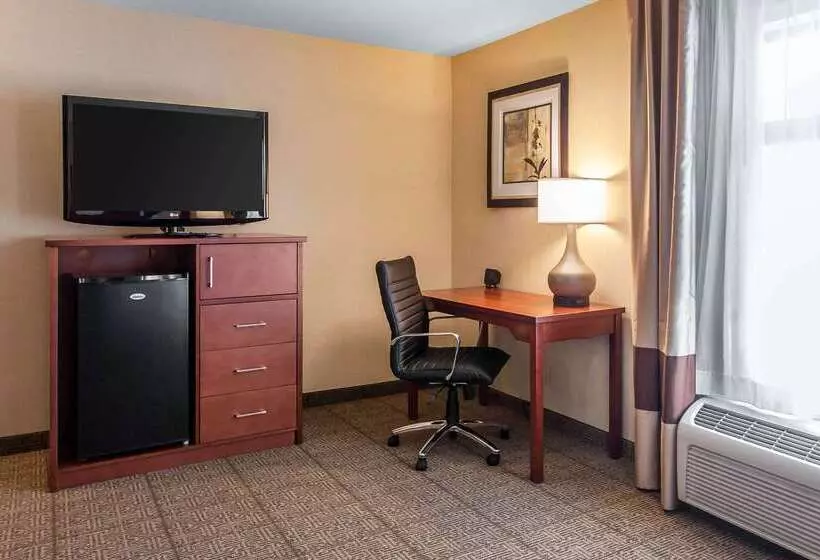ホテル Comfort Inn & Suites Near Fallon Naval Air Station