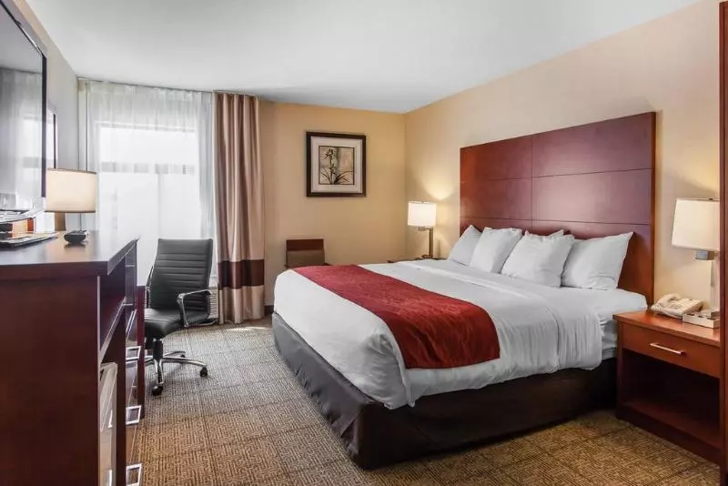 ホテル Comfort Inn & Suites Near Fallon Naval Air Station