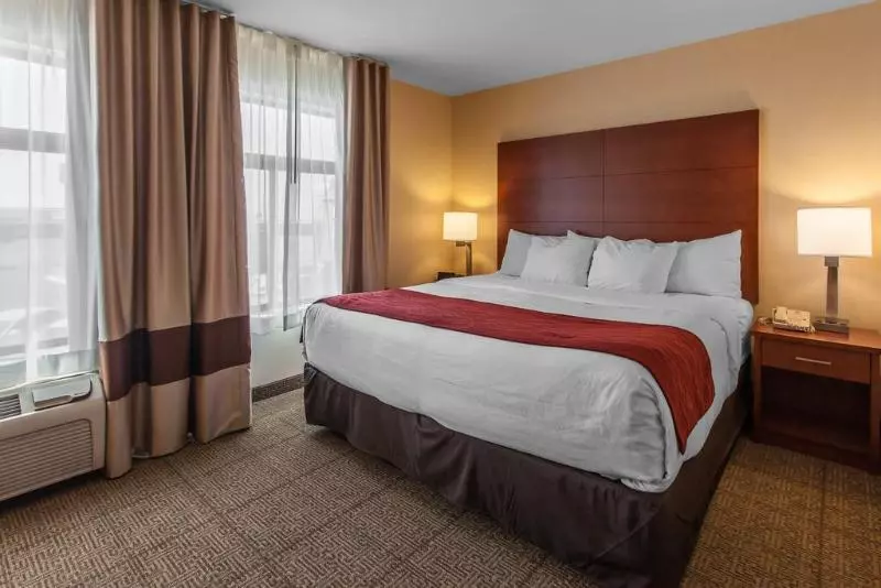 ホテル Comfort Inn & Suites Near Fallon Naval Air Station