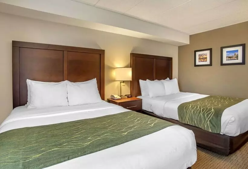 호텔 Comfort Inn Shady Grove Gaithersburg Rockville