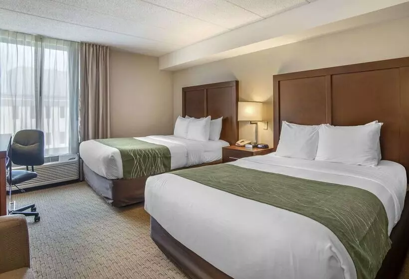 호텔 Comfort Inn Shady Grove Gaithersburg Rockville
