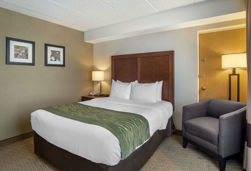 בית מלון כפרי Comfort Inn Shady Grove  Gaithersburg  Rockville