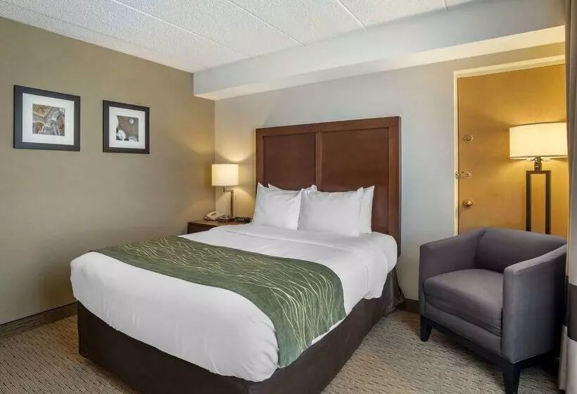 호텔 Comfort Inn Shady Grove Gaithersburg Rockville