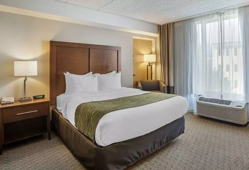 호텔 Comfort Inn Shady Grove Gaithersburg Rockville