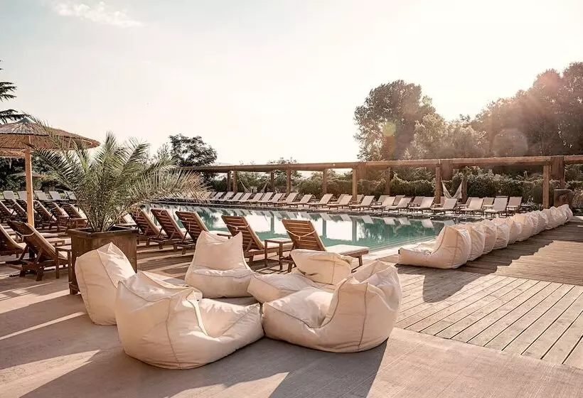 فندق Sunny Beach Club   Adults Only #youthfulvibes