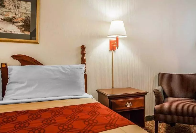 酒店 Econo Lodge Douglassville Pottstown
