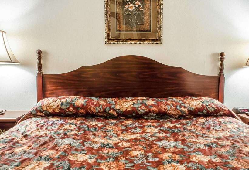 Отель Econo Lodge