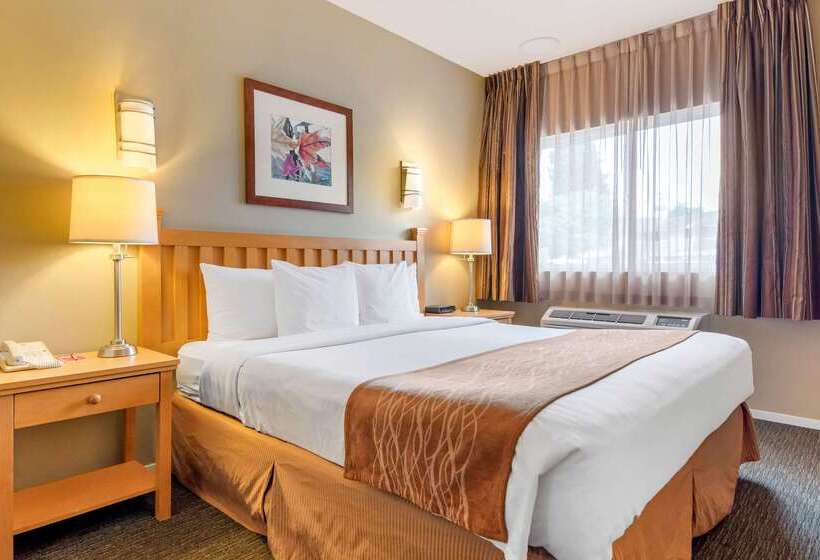 בית מלון כפרי Econo Lodge Inn & Suites