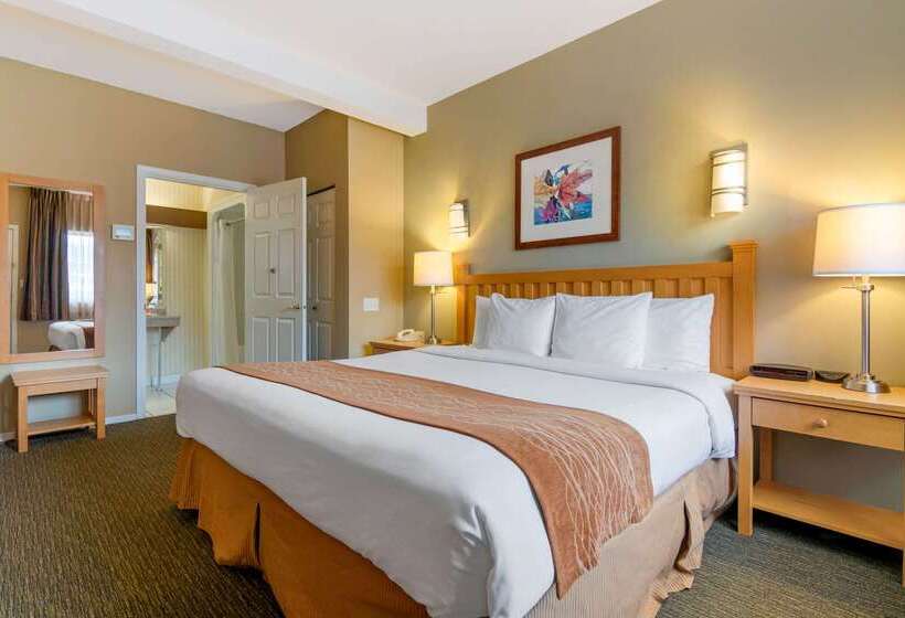 בית מלון כפרי Econo Lodge Inn & Suites