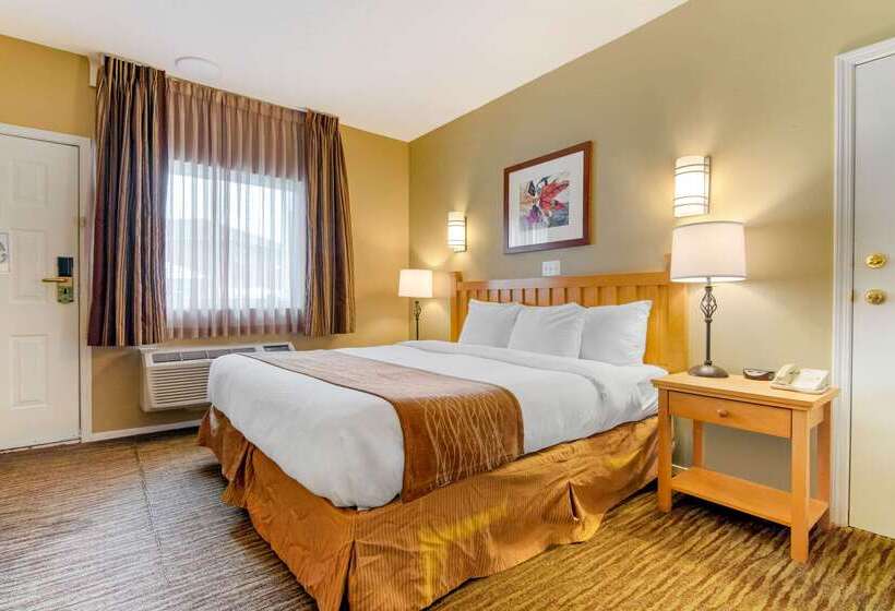 בית מלון כפרי Econo Lodge Inn & Suites