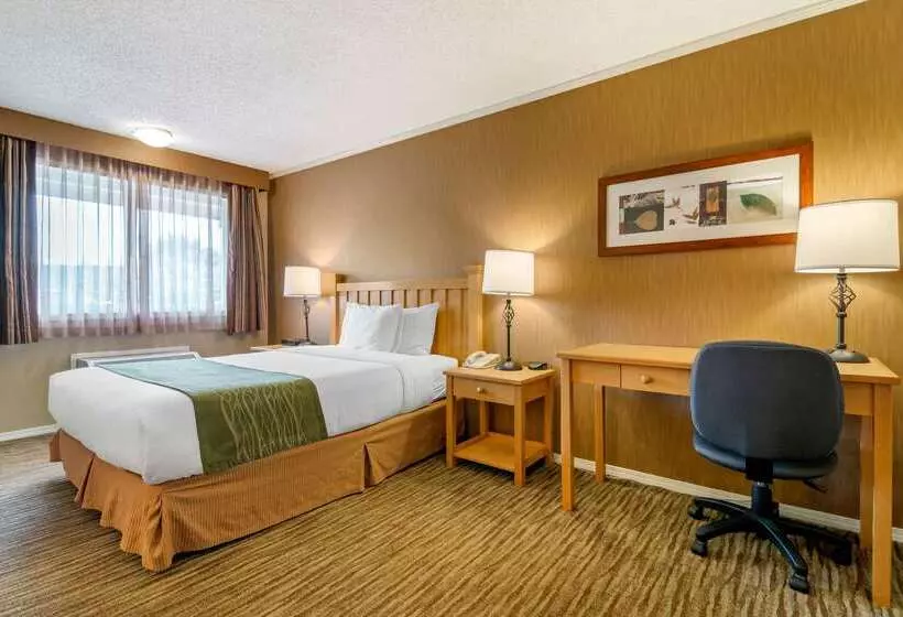 ホテル Econo Lodge Inn & Suites