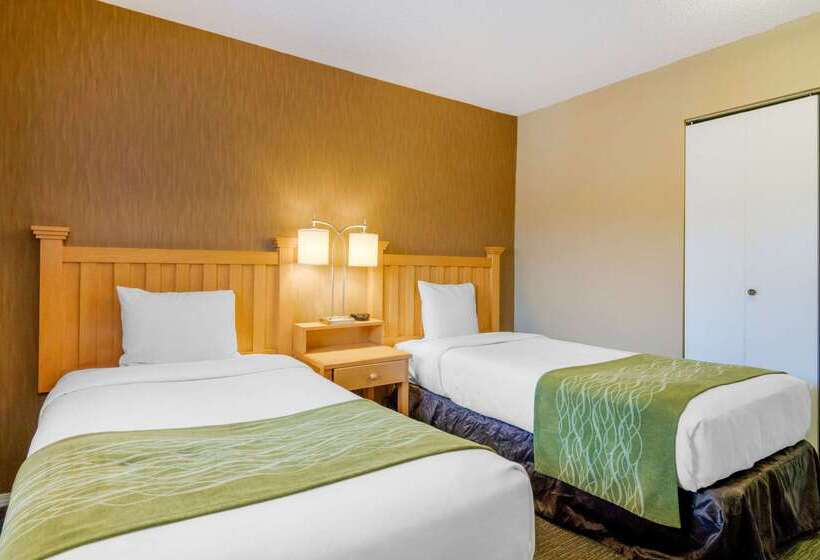 בית מלון כפרי Econo Lodge Inn & Suites