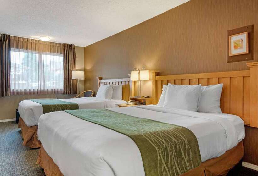 בית מלון כפרי Econo Lodge Inn & Suites