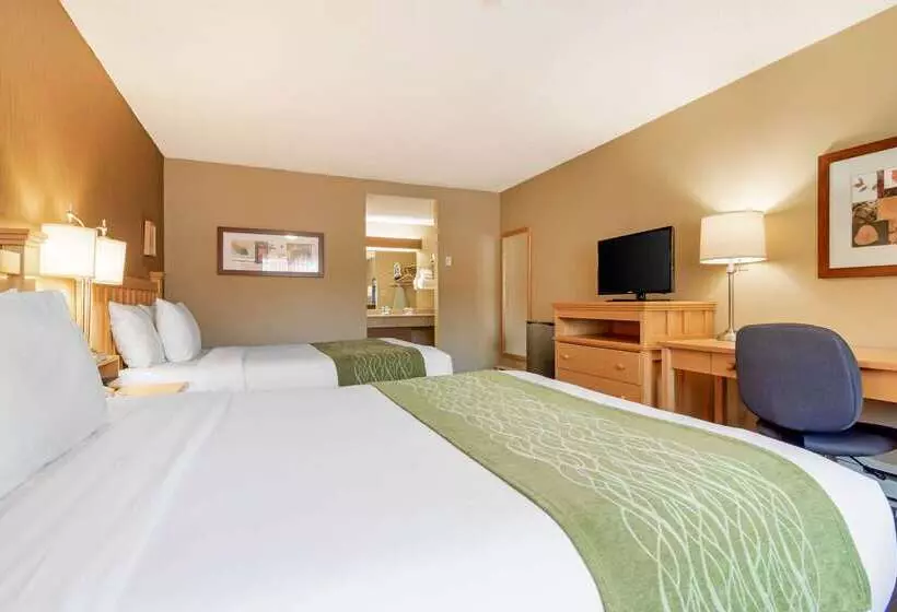 ホテル Econo Lodge Inn & Suites