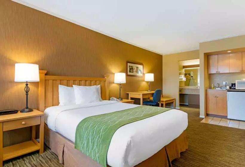 ホテル Econo Lodge Inn & Suites