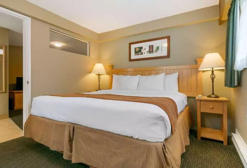 ホテル Econo Lodge Inn & Suites