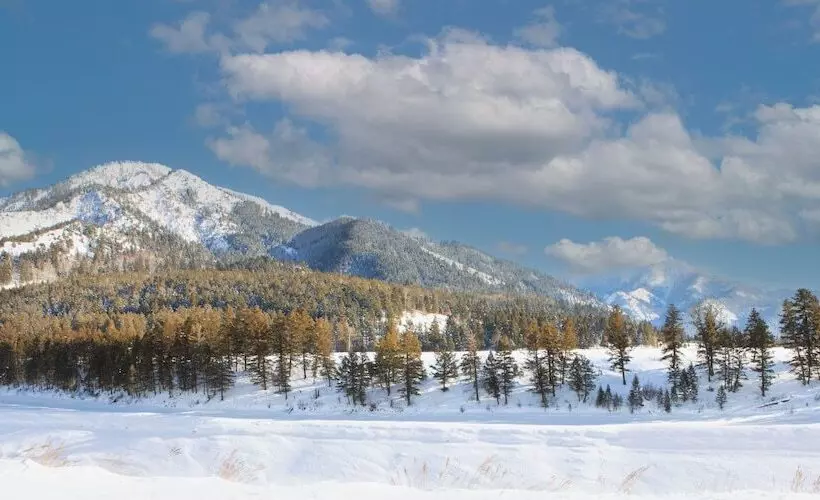 酒店 Flying Saddle Resort And Steak House