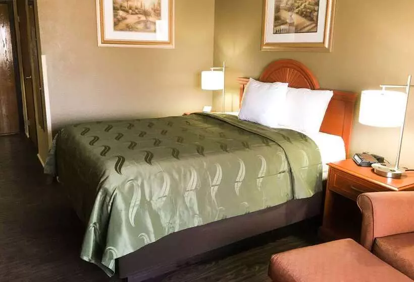 酒店 Quality Inn & Suites Lincoln Near I55