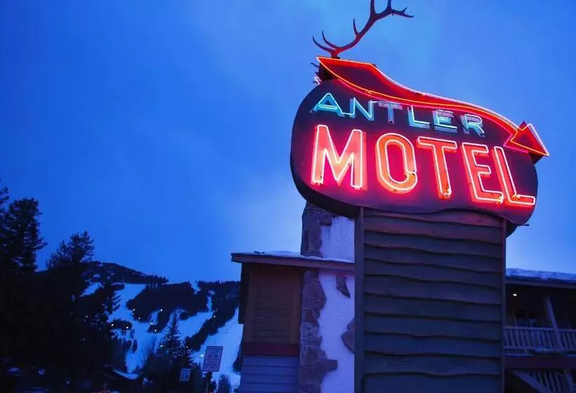 מוטל Antler Inn