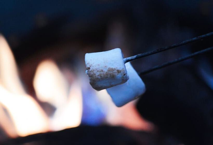 C3 Hotel Art De Vivre