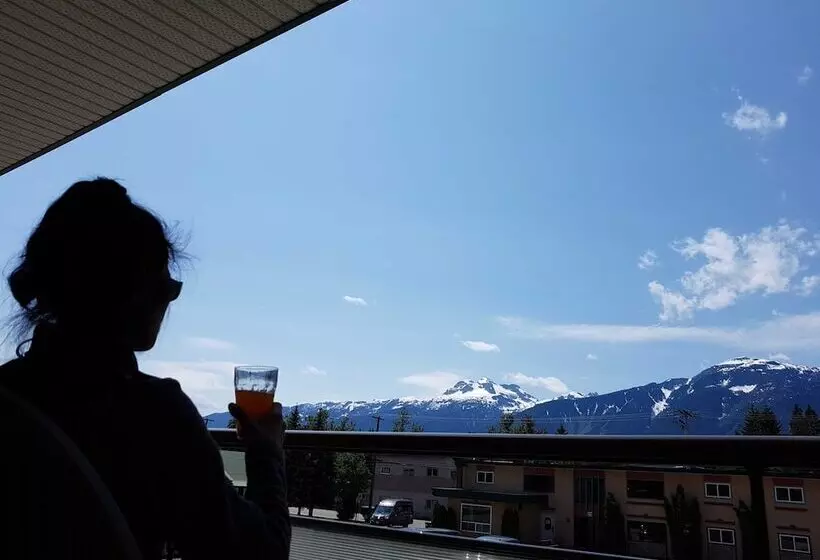 בית מלון כפרי Alpine Inn & Suites