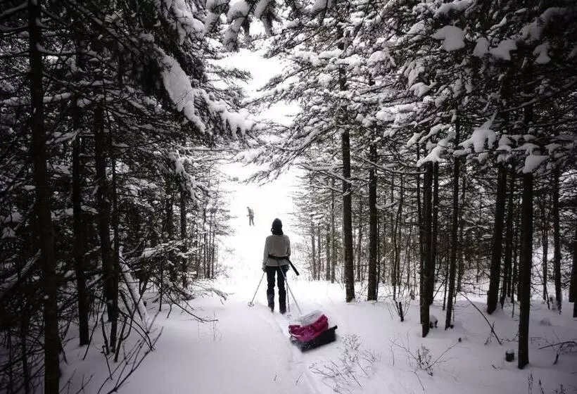 酒店 Auberge Jeunesse Rose Des Vents