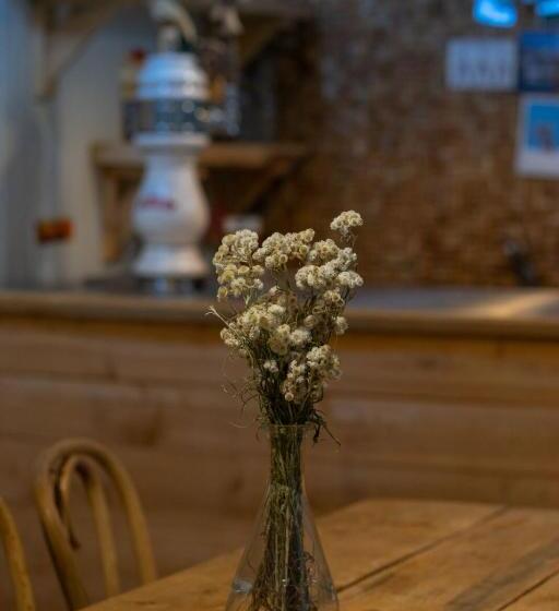 فندق Auberge Jeunesse Rose Des Vents