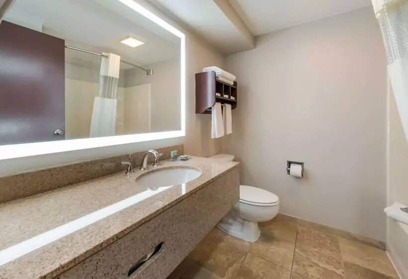 호텔 Baymont By Wyndham Westampton