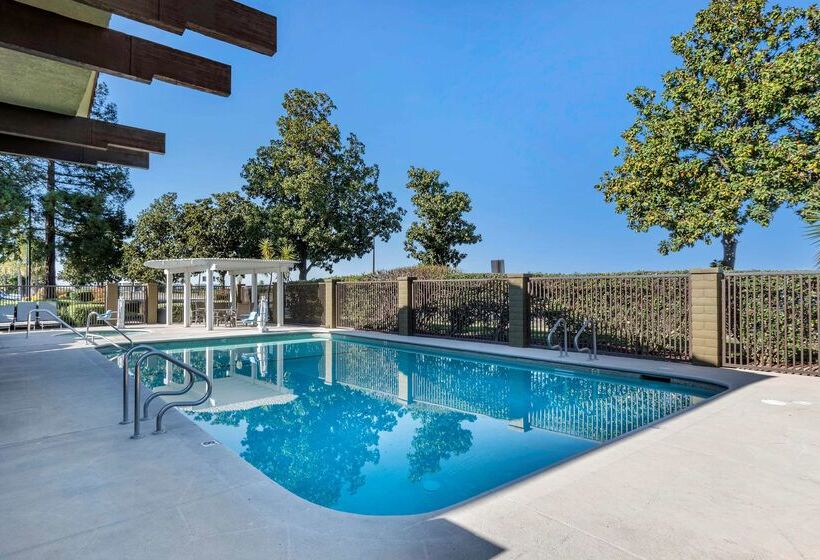 בית מלון כפרי Best Western Orchard Inn