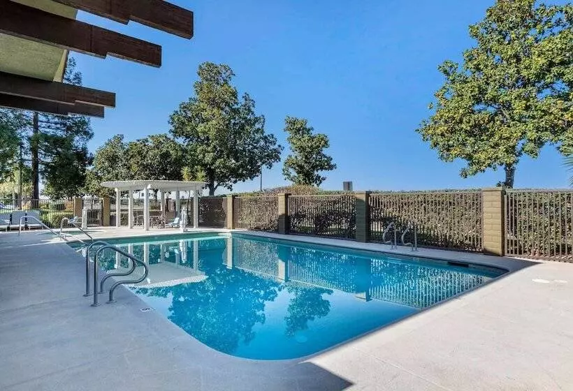 Отель Best Western Orchard Inn