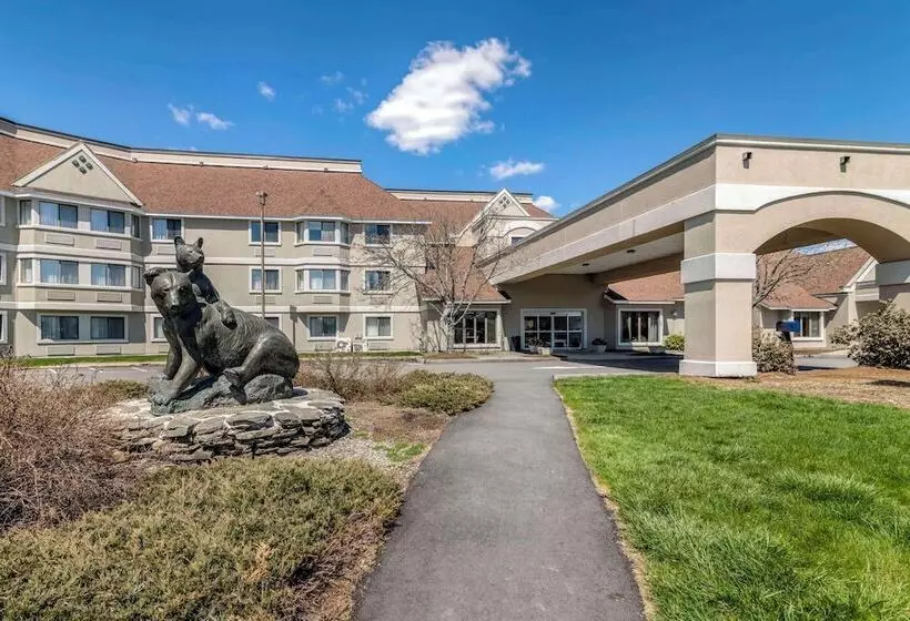 Black Bear Inn, Ascend Hotel Collection