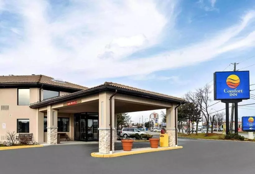 酒店 Comfort Inn Brampton