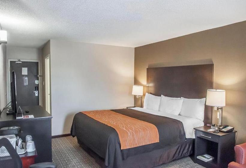 Отель Comfort Inn Brampton
