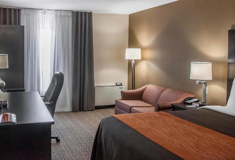 Отель Comfort Inn Brampton
