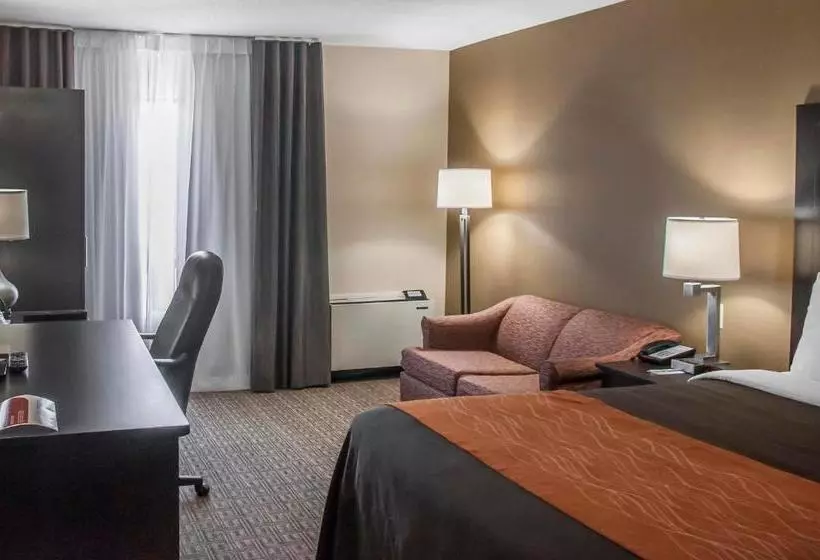 酒店 Comfort Inn Brampton