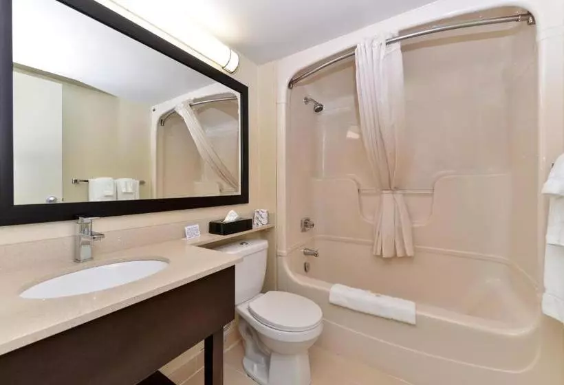 酒店 Comfort Inn Brampton